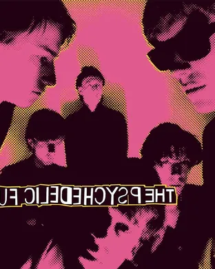 The Psychedelic Furs & We Are Scientists